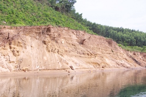 Thông tin từ đường dây nóng 